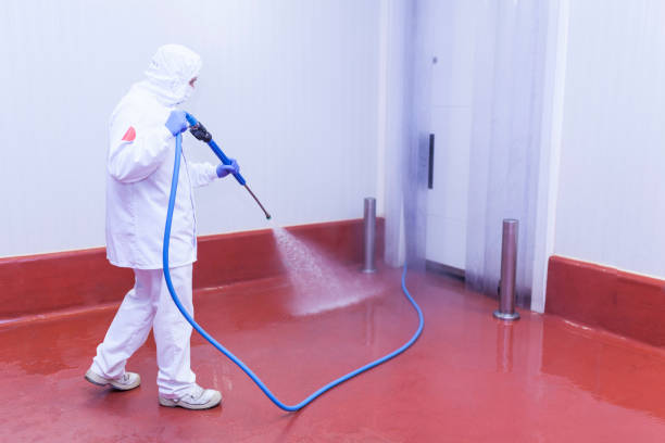 Spring Cleaning in Pantops, VA